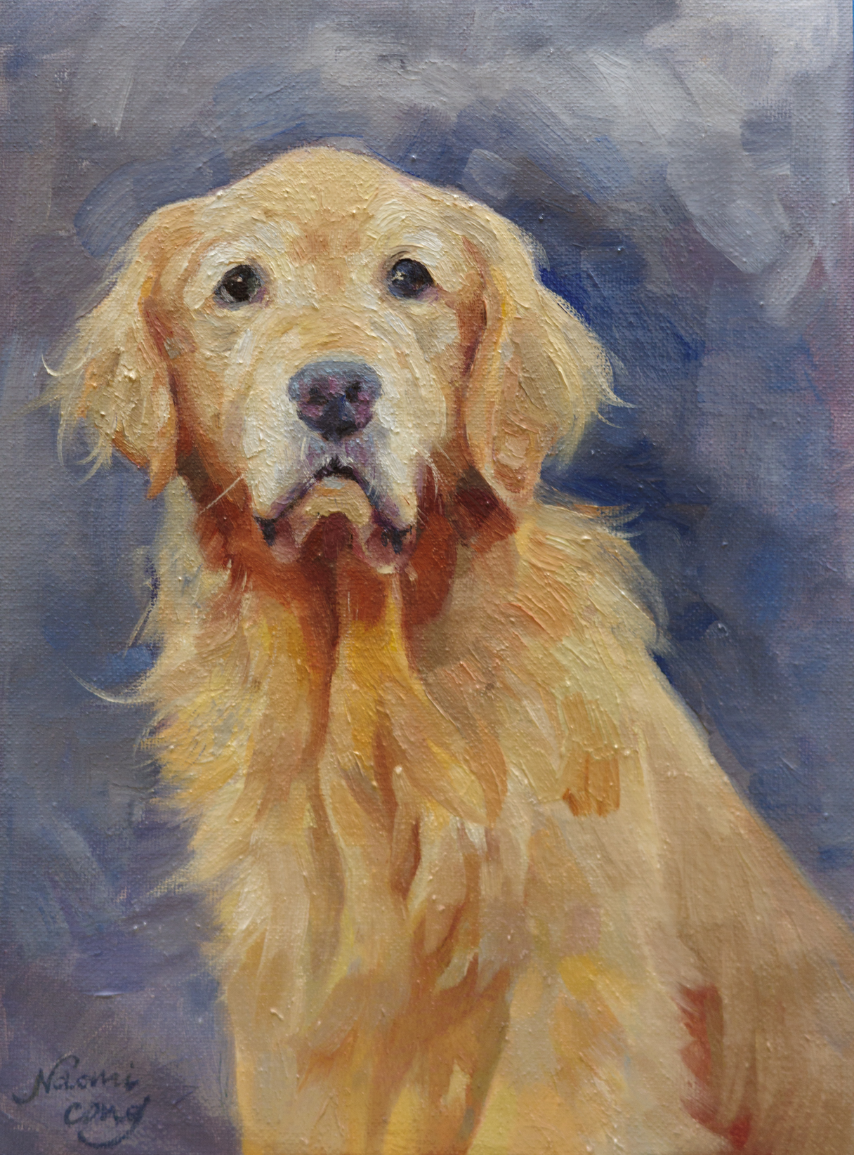 Golden Retriever