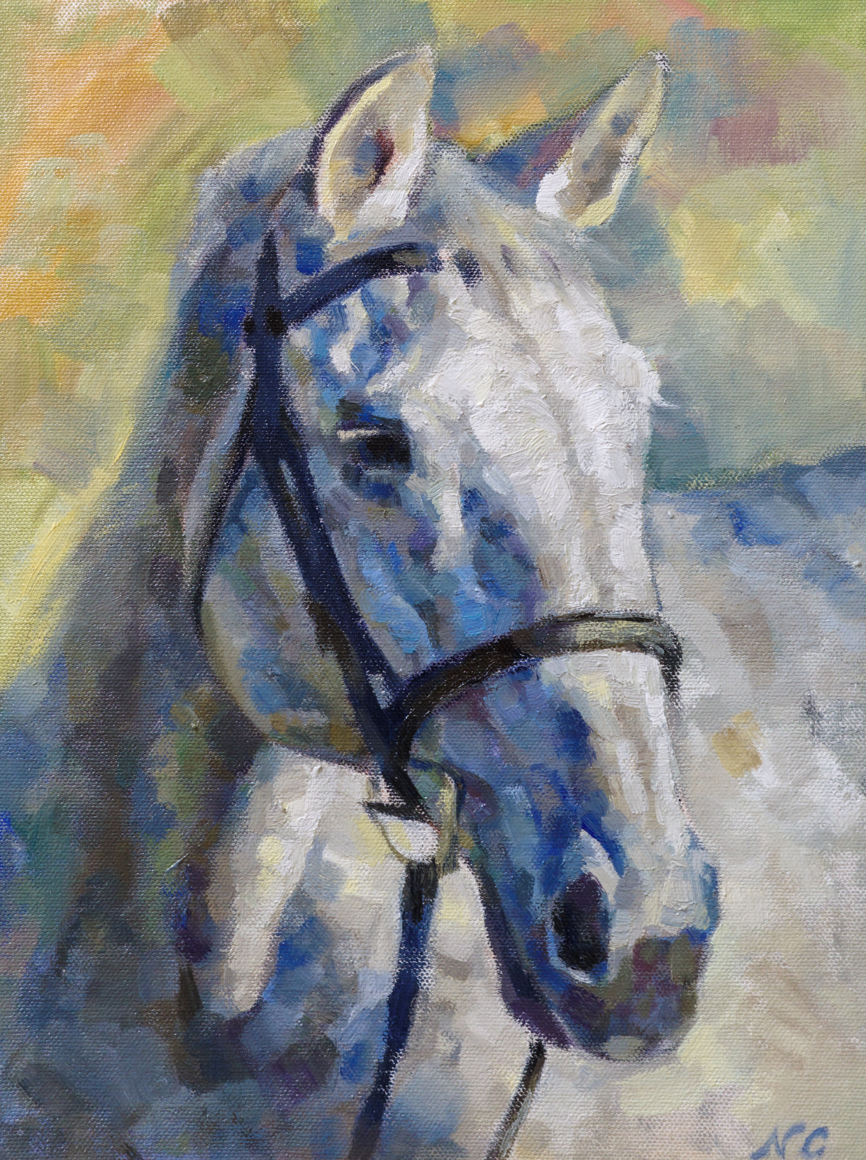 Horse