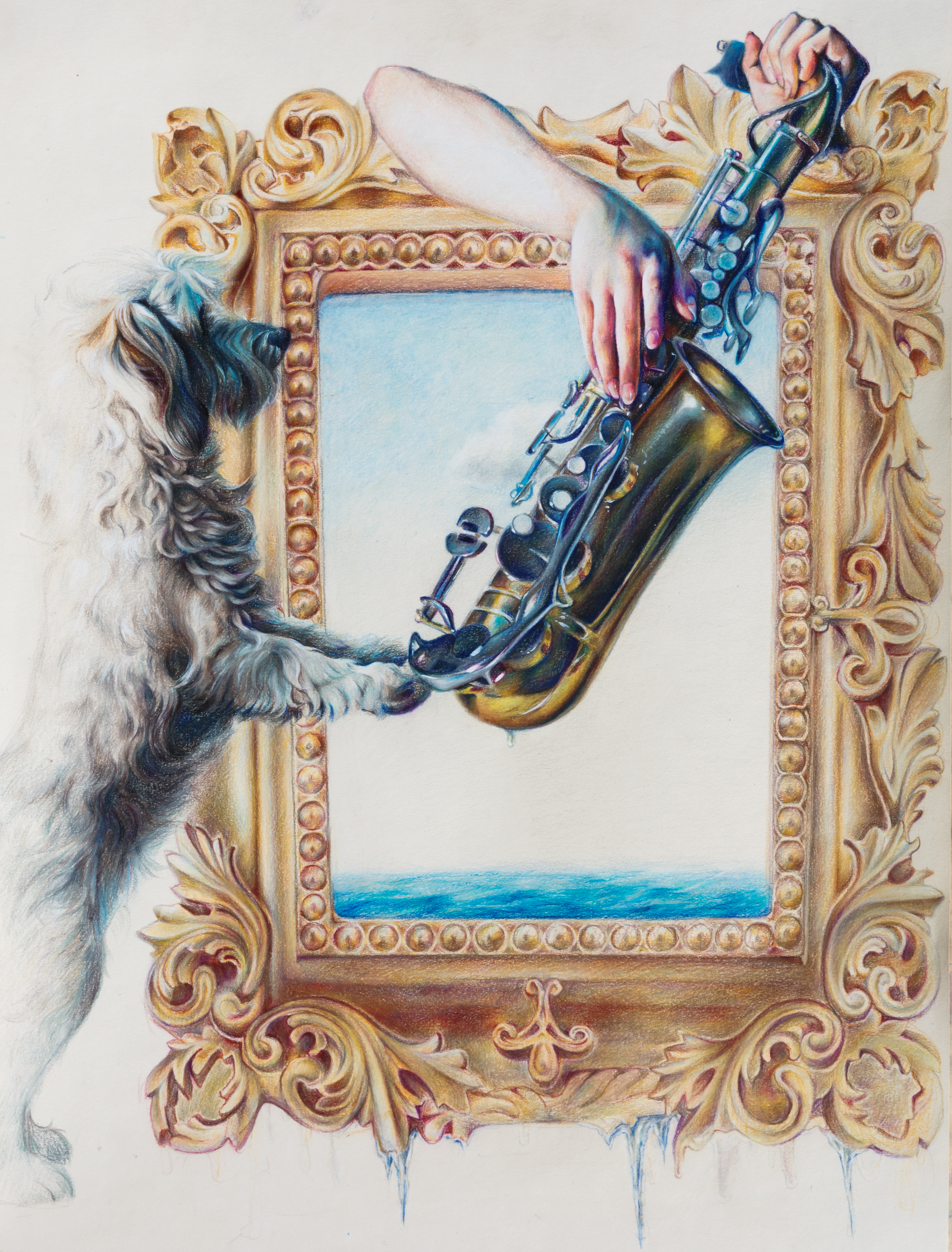 Jazz Companion